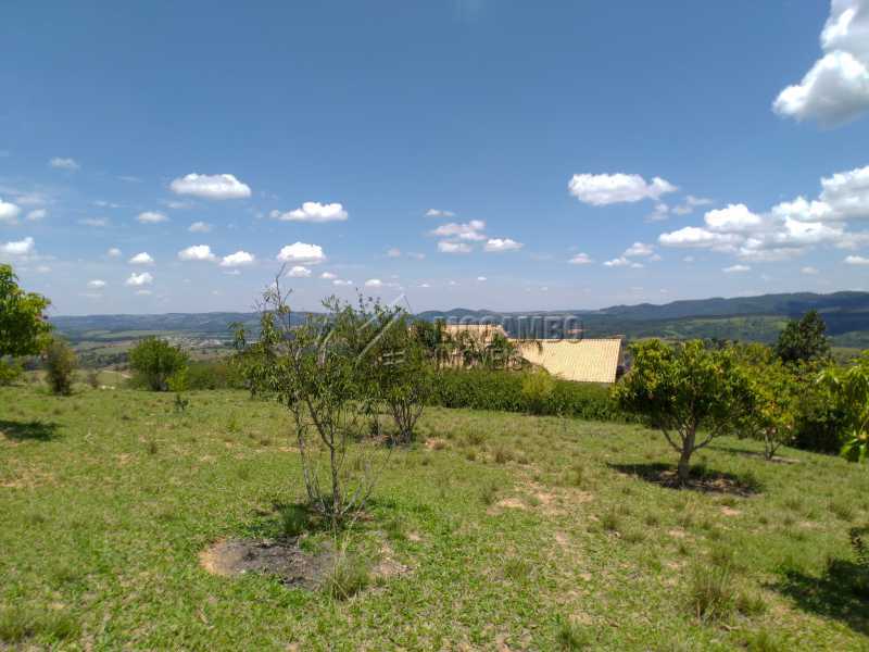 Conheça Pomar do imóvel - Sítio 150000m² à venda Itatiba,SP - R$ 2.500.000 - FCSI40009 - 10 Pomar - Sítio 150000m² à venda Itatiba,SP - R$ 2.500.000 - FCSI40009 - 10