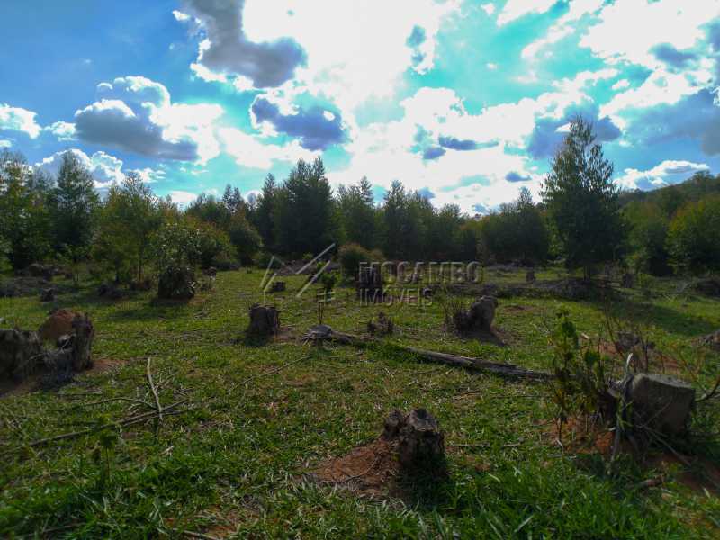 Conheça Área do imóvel - Sítio 145200m² à venda Itatiba,SP - R$ 1.860.000 - FCSI00016 - 7 Área - Sítio 145200m² à venda Itatiba,SP - R$ 1.860.000 - FCSI00016 - 7