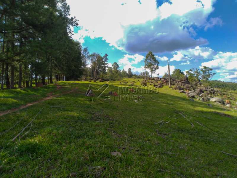 Conheça Pastor ao lado da sede do imóvel - Sítio 145200m² à venda Itatiba,SP - R$ 1.900.000 - FCSI20013 - 12 Pastor ao lado da sede - Sítio 145200m² à venda Itatiba,SP - R$ 1.900.000 - FCSI20013 - 12