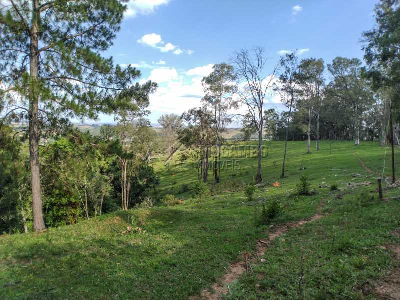 Conheça Pastagem ao lado da sede do imóvel - Sítio 145200m² à venda Itatiba,SP - R$ 1.900.000 - FCSI20013 - 19 Pastagem ao lado da sede - Sítio 145200m² à venda Itatiba,SP - R$ 1.900.000 - FCSI20013 - 19