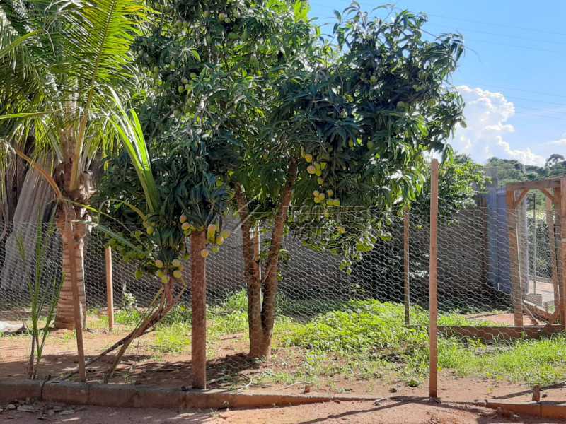 Conheça Pomar do imóvel - Chácara 1171m² à venda Itatiba,SP - R$ 350.000 - FCCH20067 - 17 Pomar - Chácara 1171m² à venda Itatiba,SP - R$ 350.000 - FCCH20067 - 17