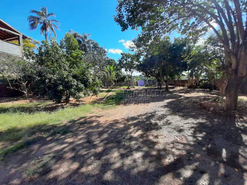 Conheça Pomar do imóvel - Chácara 1171m² à venda Itatiba,SP - R$ 350.000 - FCCH20067 - 19 Pomar - Chácara 1171m² à venda Itatiba,SP - R$ 350.000 - FCCH20067 - 19