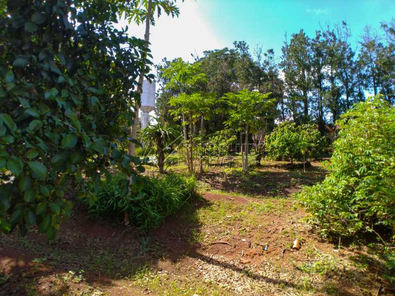 Conheça Pomar do imóvel - Chácara 2000m² à venda Itatiba,SP - R$ 690.000 - FCCH30119 - 15 Pomar - Chácara 2000m² à venda Itatiba,SP - R$ 690.000 - FCCH30119 - 15