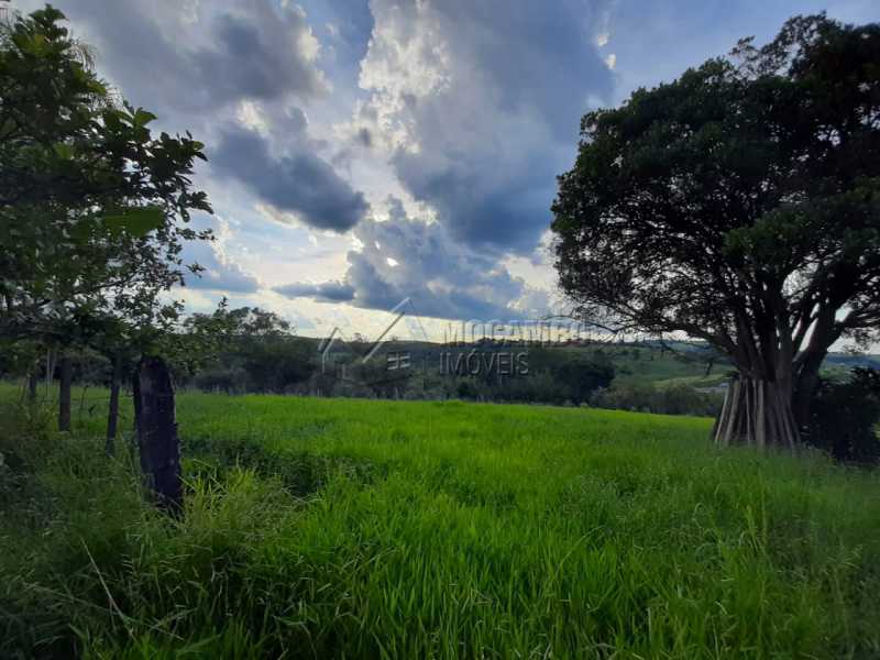 Conheça Pastagens do imóvel - Sítio 90000m² à venda Itatiba,SP - R$ 1.600.000 - FCSI30006 - 16 Pastagens - Sítio 90000m² à venda Itatiba,SP - R$ 1.600.000 - FCSI30006 - 16