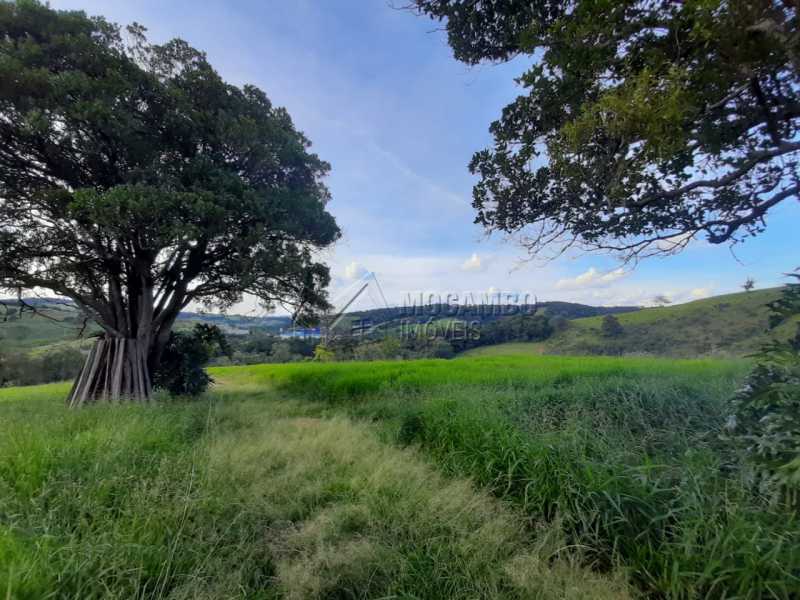 Conheça Pastagens do imóvel - Sítio 90000m² à venda Itatiba,SP - R$ 1.600.000 - FCSI30006 - 22 Pastagens - Sítio 90000m² à venda Itatiba,SP - R$ 1.600.000 - FCSI30006 - 22