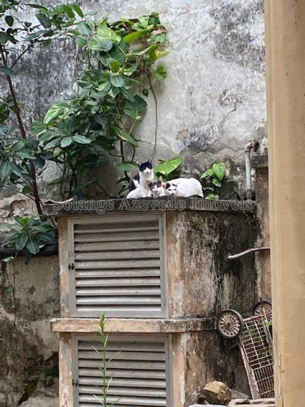 Conheça IMG_0668 do imóvel - Casa à venda Rua Guaxupé,Tijuca, Rio de Janeiro - R$ 1.800.000 - TJCA50007 - 13 IMG_0668 - Casa à venda Rua Guaxupé,Tijuca, Rio de Janeiro - R$ 1.800.000 - TJCA50007 - 13
