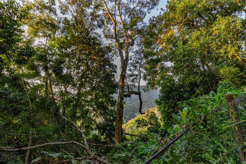 Conheça Terreno -3 do imóvel - Terreno Unifamiliar à venda Alto da Boa Vista, Rio de Janeiro - R$ 580.000 - JAUF00007 - 3 Terreno -3 - Terreno Unifamiliar à venda Alto da Boa Vista, Rio de Janeiro - R$ 580.000 - JAUF00007 - 3