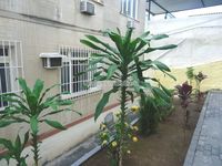 Conheça FOTO 2 do imóvel - Apartamento 2 quartos à venda Quintino Bocaiúva, Rio de Janeiro - R$ 250.000 - PA20343 - 3 FOTO 2 - Apartamento 2 quartos à venda Quintino Bocaiúva, Rio de Janeiro - R$ 250.000 - PA20343 - 3