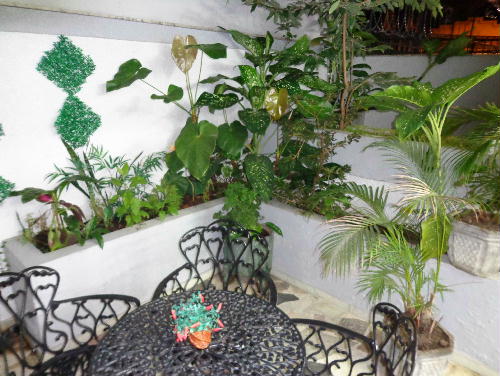 Conheça FOTO33 do imóvel - Casa à venda Rua Jorge Rudge,Vila Isabel, Rio de Janeiro - R$ 850.000 - CR40039 - 31 FOTO33 - Casa à venda Rua Jorge Rudge,Vila Isabel, Rio de Janeiro - R$ 850.000 - CR40039 - 31