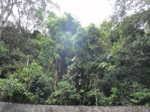 Conheça FOTO1 do imóvel - Terreno 10700m² à venda Estrada da Gávea Pequena,Alto da Boa Vista, Rio de Janeiro - R$ 1.700.000 - CT10002 - 1 FOTO1 - Terreno 10700m² à venda Estrada da Gávea Pequena,Alto da Boa Vista, Rio de Janeiro - R$ 1.700.000 - CT10002 - 1