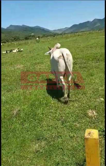 d481fb72-6c50-4852-bd62-416353 - 16