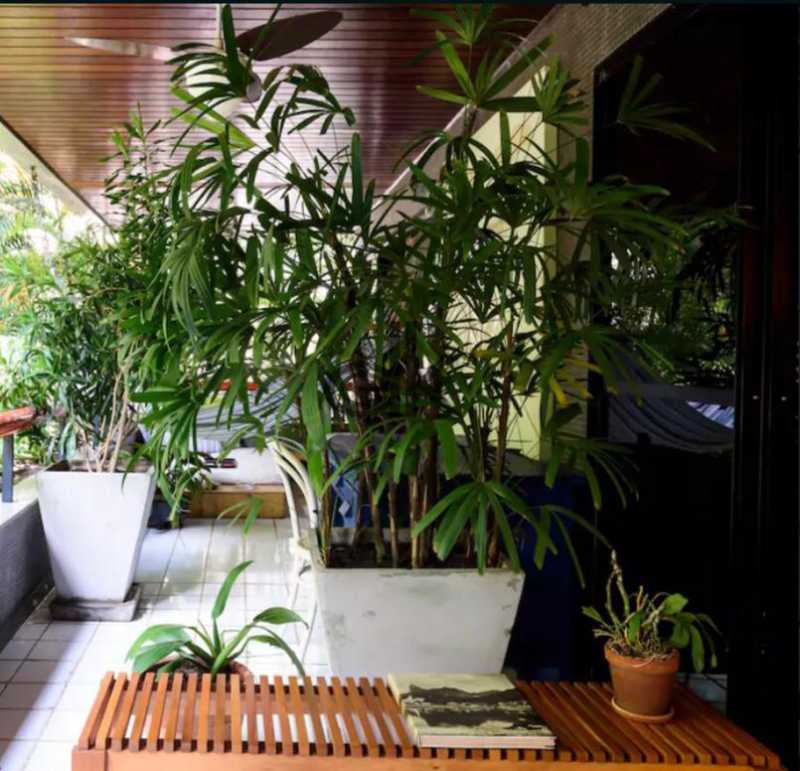 Conheça WhatsApp Image 2019-04-18 at 1 do imóvel - Apartamento 4 quartos à venda Jardim Oceanico, Rio de Janeiro - R$ 1.800.000 - 5056 - 1 WhatsApp Image 2019-04-18 at 1 - Apartamento 4 quartos à venda Jardim Oceanico, Rio de Janeiro - R$ 1.800.000 - 5056 - 1