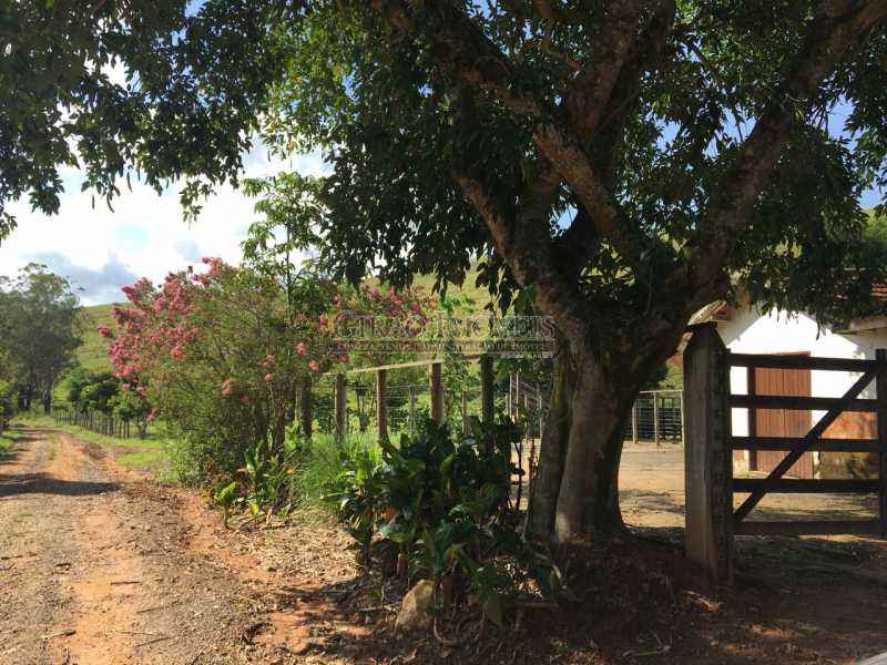 Conheça 6 do imóvel - Fazenda À Venda - PIAU - Macuco - MG - GIFA40002 - 7 6 - Fazenda À Venda - PIAU - Macuco - MG - GIFA40002 - 7