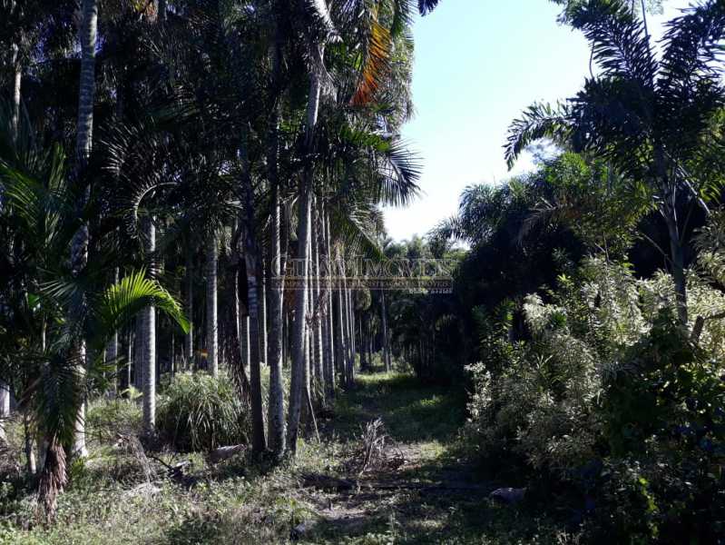 Conheça 9 do imóvel - Sítio 45000m² à venda Guaratiba, Rio de Janeiro - R$ 3.500.000 - GISI30003 - 10 9 - Sítio 45000m² à venda Guaratiba, Rio de Janeiro - R$ 3.500.000 - GISI30003 - 10