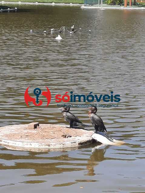 Conheça a45a7fa2-c5cb-4e4d-b86f-8887ba do imóvel - Apartamento 2 quartos à venda Rio de Janeiro,RJ Barra da Tijuca - R$ 950.000 - LBAP24009 - 25 a45a7fa2-c5cb-4e4d-b86f-8887ba - Apartamento 2 quartos à venda Rio de Janeiro,RJ Barra da Tijuca - R$ 950.000 - LBAP24009 - 25