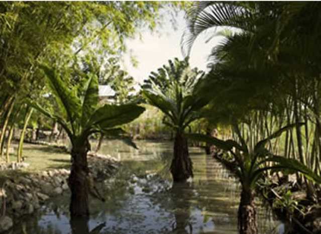 Conheça Condomínio - Lago do imóvel - Terreno Unifamiliar à venda Ubatiba, Maricá - R$ 206.002 - MAUF00258 - 13 Condomínio - Lago - Terreno Unifamiliar à venda Ubatiba, Maricá - R$ 206.002 - MAUF00258 - 13