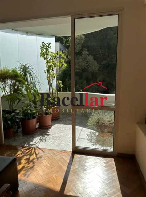 Apartamento, 4 quartos, 190 m² - Foto 7
