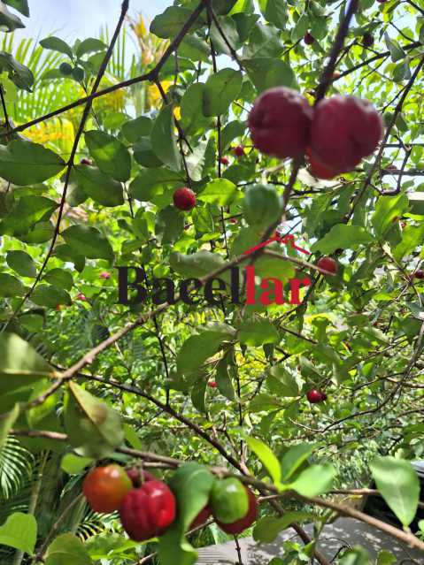 Casa, 6 quartos, 820 m² - Foto 25