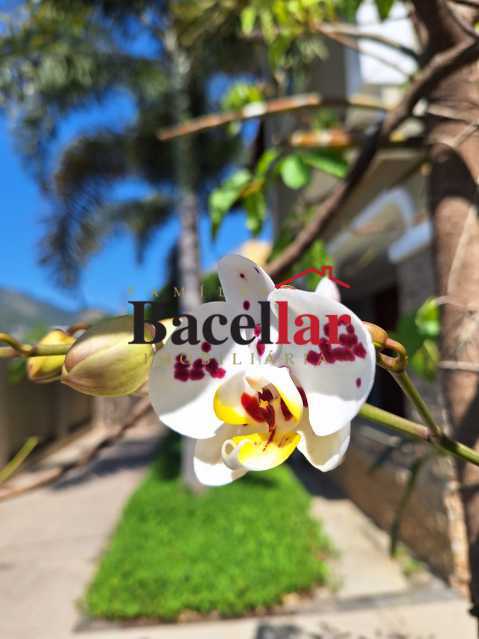 Casa, 6 quartos, 820 m² - Foto 28