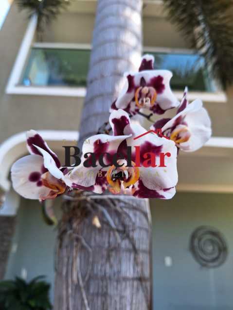 Casa, 6 quartos, 820 m² - Foto 29