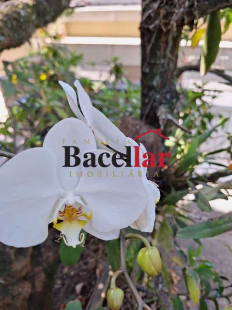 Casa, 6 quartos, 820 m² - Foto 30