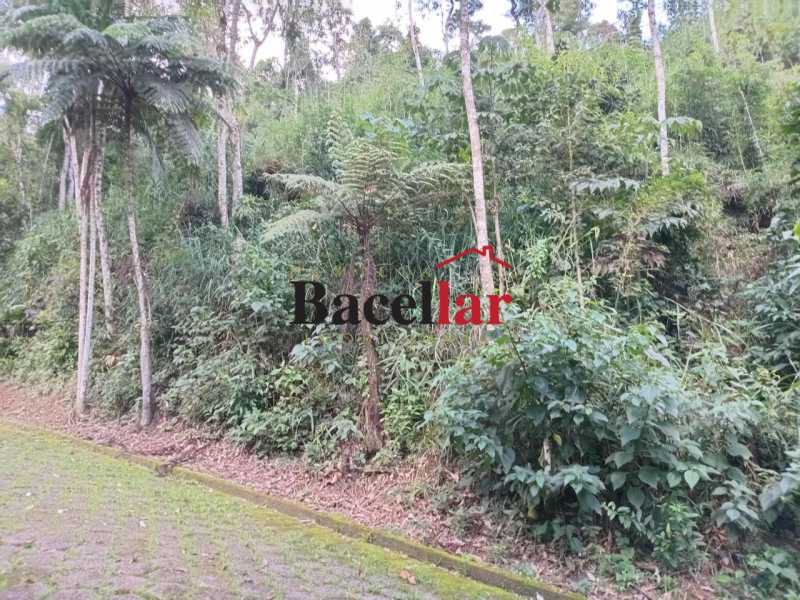 Terreno, 5000 m² - Foto 13