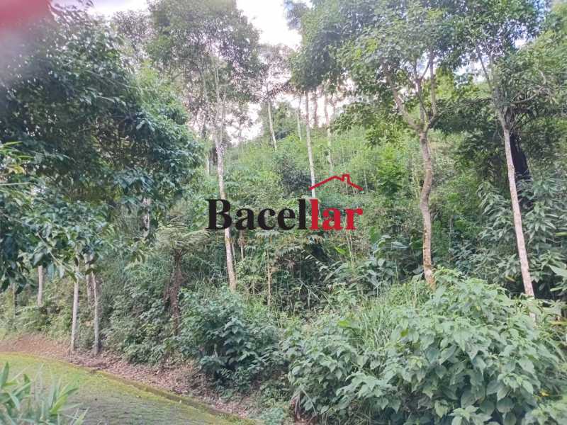 Terreno, 5000 m² - Foto 17