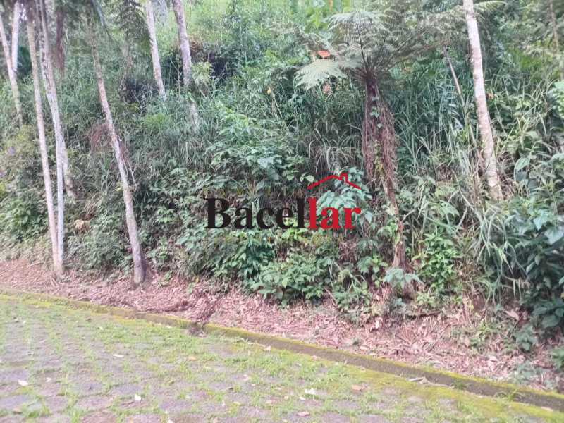 Terreno, 5000 m² - Foto 19