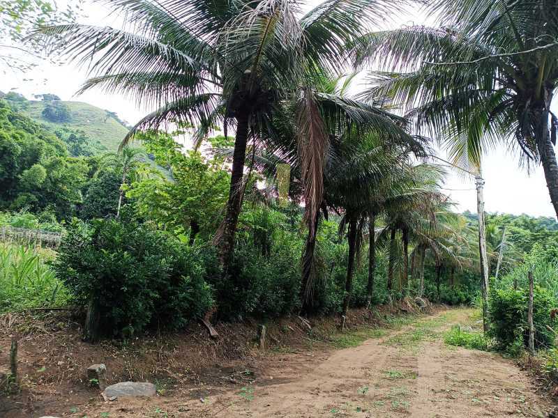 Casa, 2 quartos, 1000 m² - Foto 14