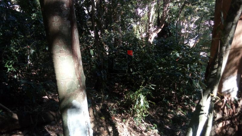 Terreno à venda, 950 - Foto 12