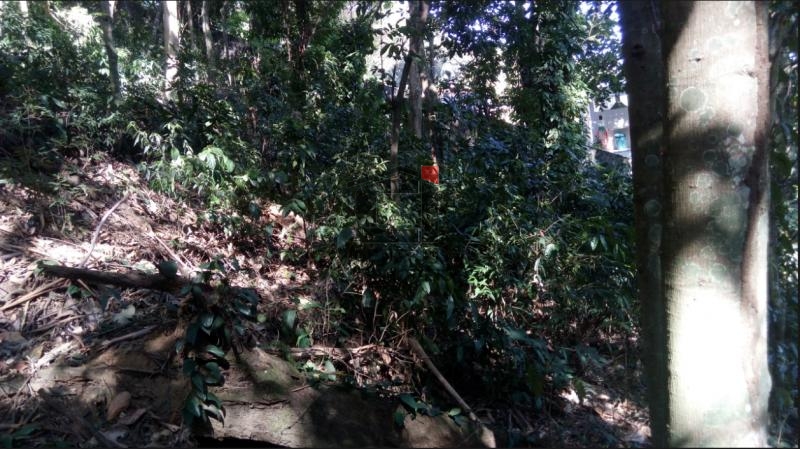 Terreno à venda, 950 - Foto 14