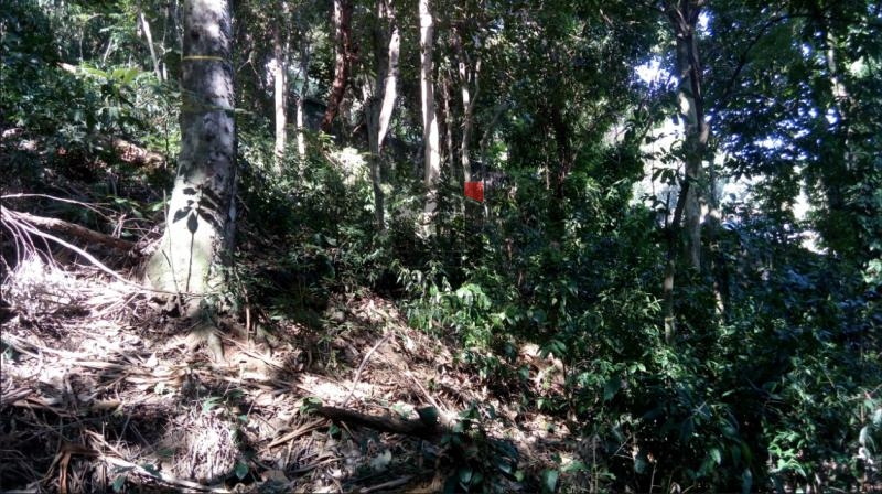 Terreno à venda, 950 - Foto 15