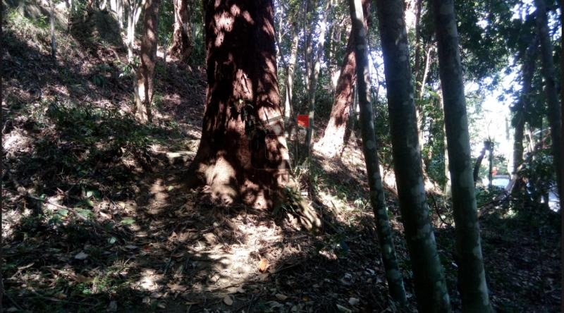 Terreno à venda, 950 - Foto 18