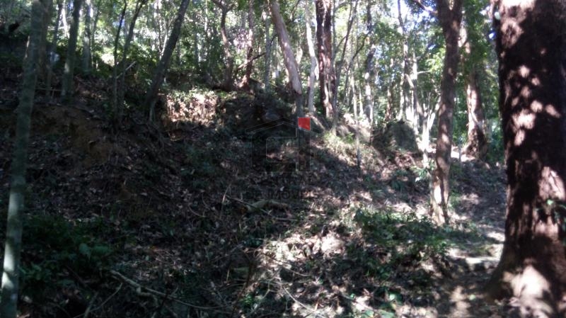 Terreno à venda, 950 - Foto 6