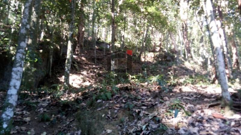 Terreno à venda, 950 - Foto 7