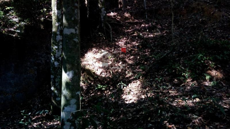 Terreno à venda, 950 - Foto 8