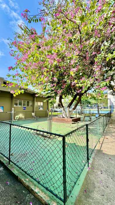 Apartamento, 2 quartos, 66 m² - Foto 8