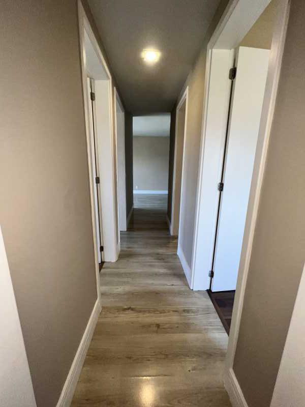 Apartamento, 4 quartos, 97 m² - Foto 9