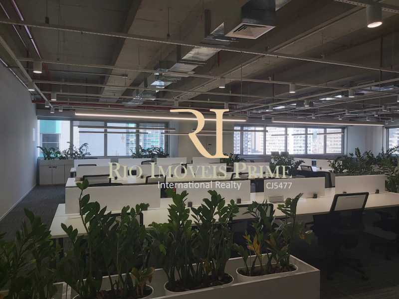 Conjunto Comercial-Sala para alugar, 381m² - Foto 3