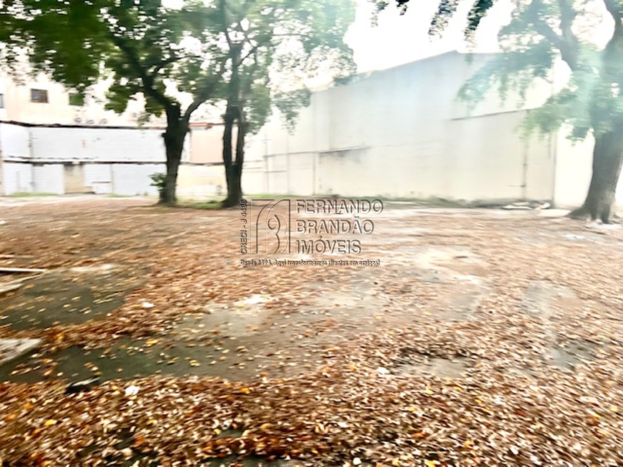 Terreno, 1850 m² - Foto 10