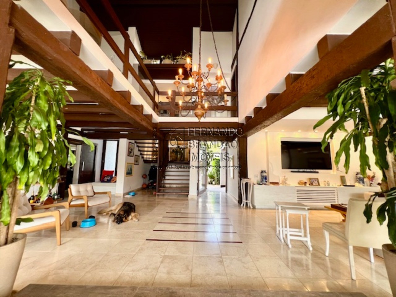 Casa, 4 quartos, 720 m² - Foto 2