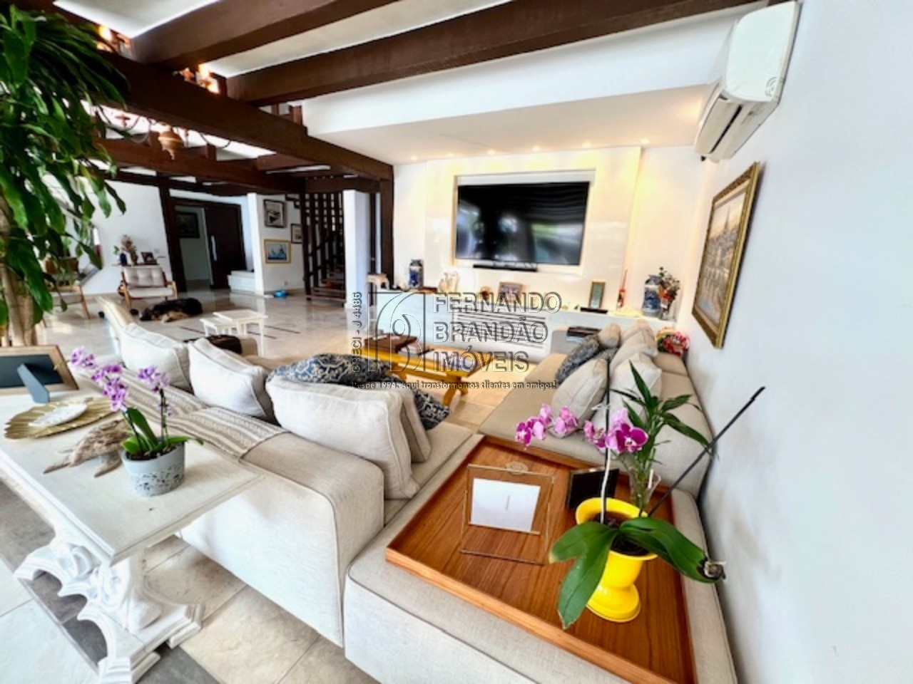 Casa, 4 quartos, 720 m² - Foto 4