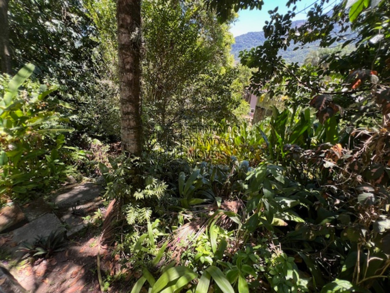 Casa, 3 quartos, 274 m² - Foto 20