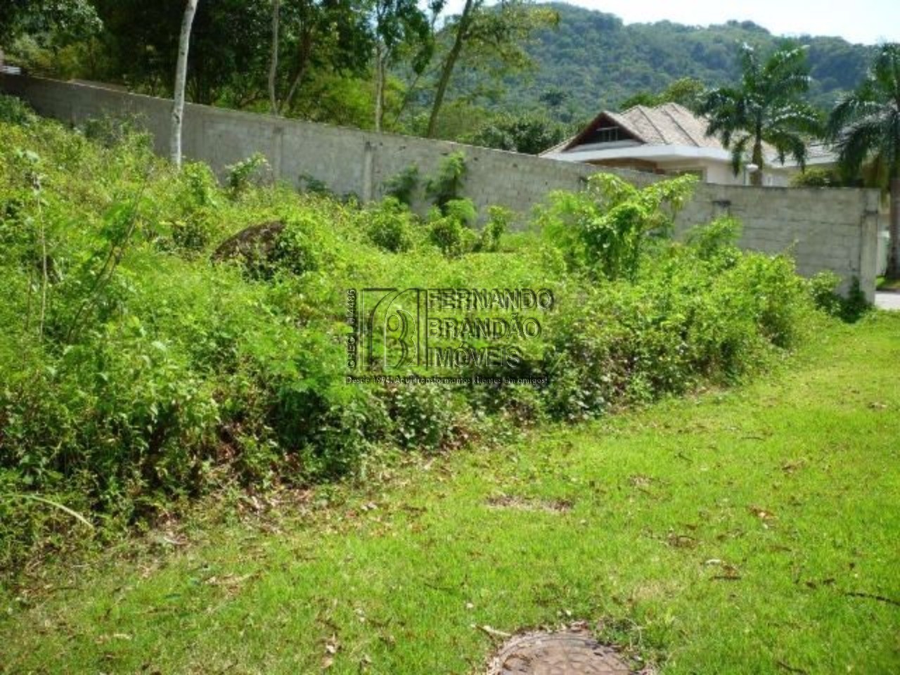 Terreno - Foto 10