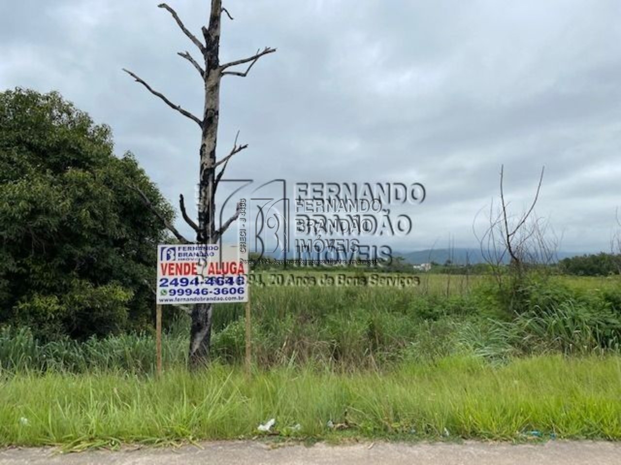 Terreno, 8900 m² - Foto 1