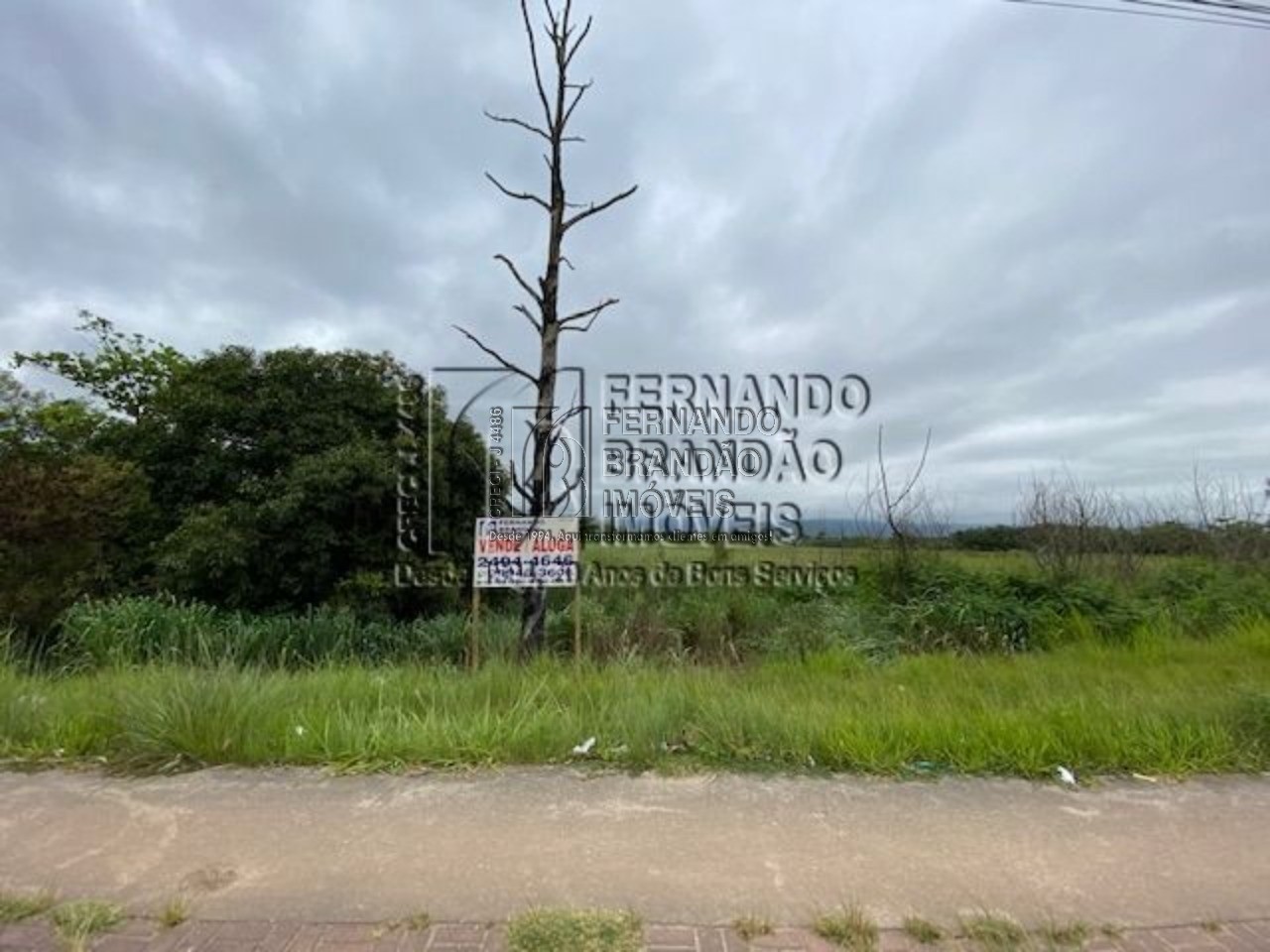 Terreno, 8900 m² - Foto 2