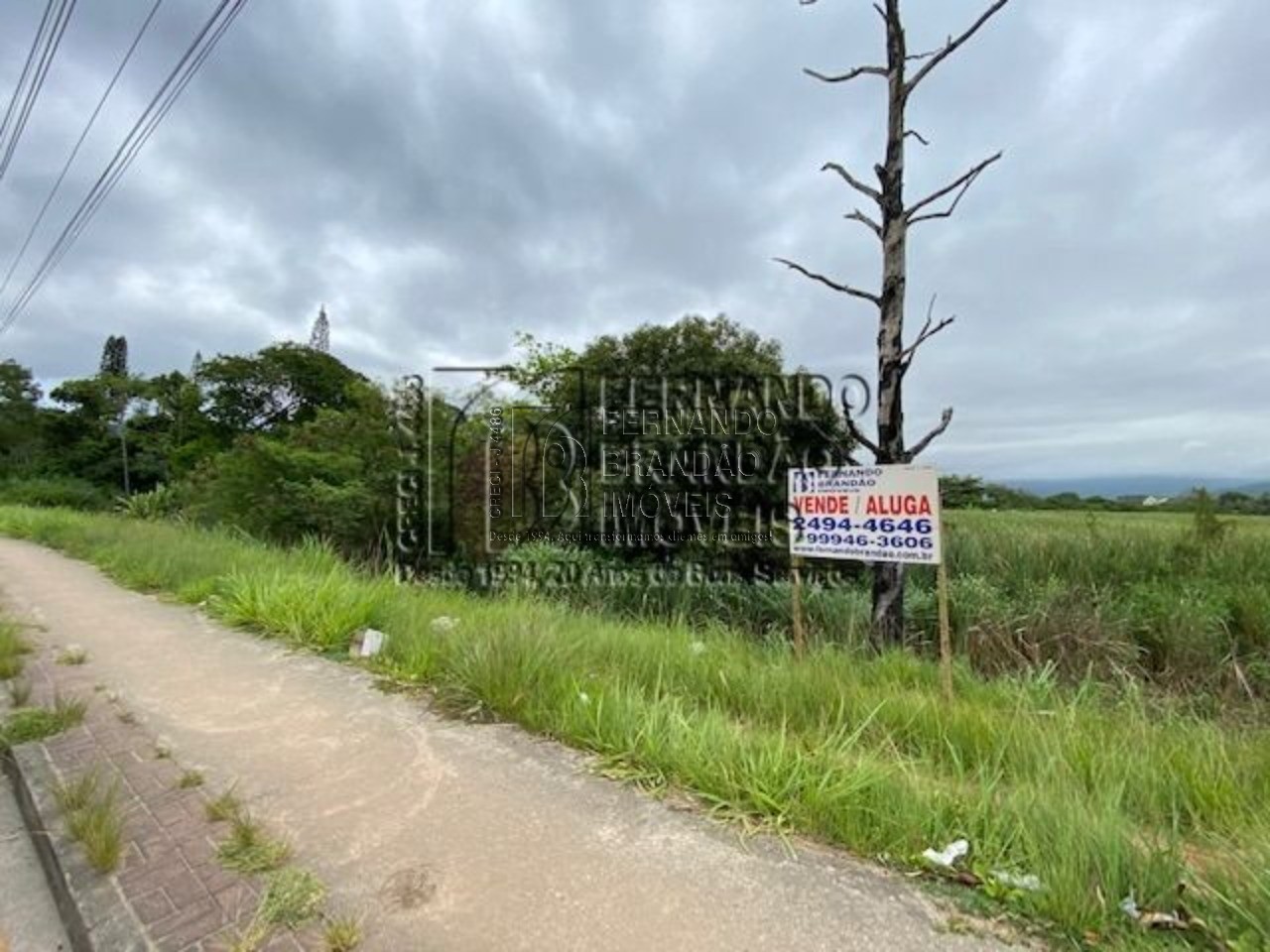 Terreno, 8900 m² - Foto 3
