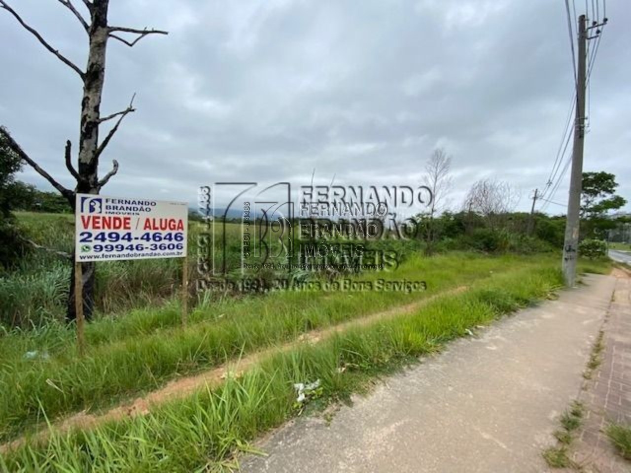 Terreno, 8900 m² - Foto 4