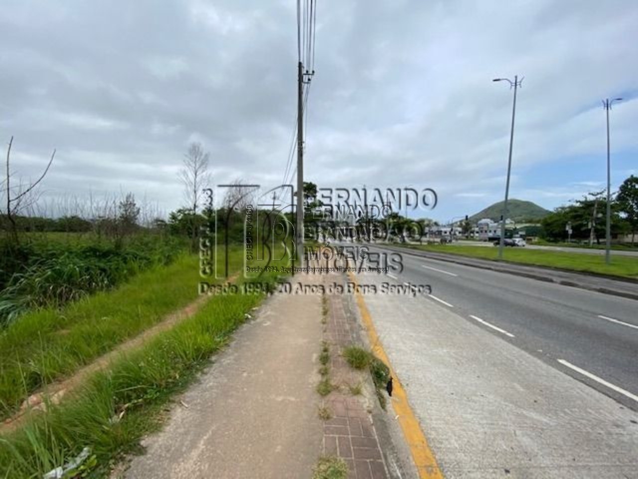 Terreno, 8900 m² - Foto 5