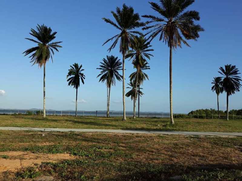 Terreno, 426 m² - Foto 9